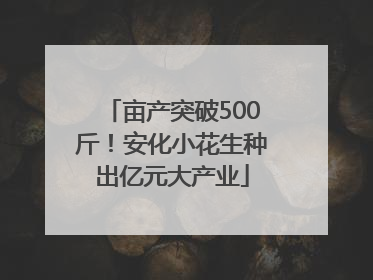亩产突破500斤！安化小花生种出亿元大产业