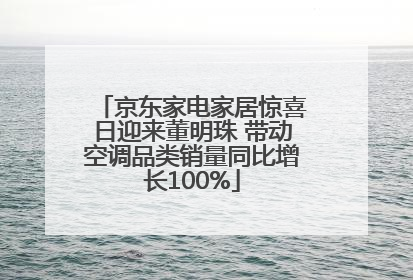 京东家电家居惊喜日迎来董明珠 带动空调品类销量同比增长100%