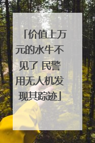 价值上万元的水牛不见了 民警用无人机发现其踪迹