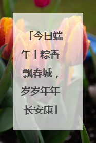今日端午丨粽香飘春城，岁岁年年长安康