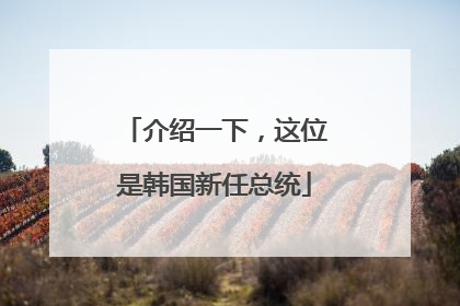 介绍一下，这位是韩国新任总统