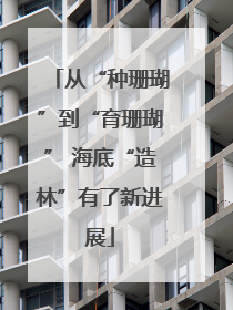 从“种珊瑚”到“育珊瑚” 海底“造林”有了新进展