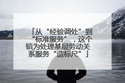 从“经验调处”到“标准服务”，这个镇为处理基层劳动关系服务“造标尺”