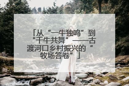 从“一牛独鸣”到“千牛共舞”——古渡河口乡村振兴的“牧场答卷”