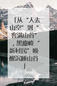 从“人去山空”到“客满山谷”，黑麋峰“新村民”唤醒沉睡山谷