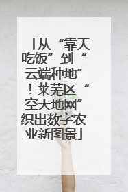 从“靠天吃饭”到“云端种地”！莱芜区“空天地网”织出数字农业新图景