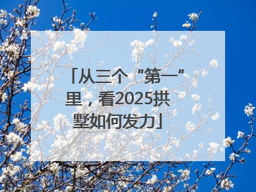 从三个“第一”里，看2025拱墅如何发力