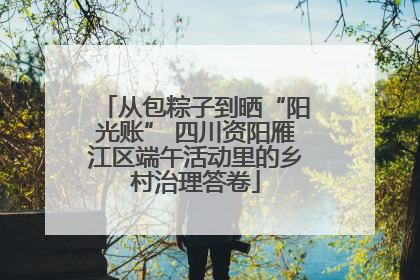 从包粽子到晒“阳光账” 四川资阳雁江区端午活动里的乡村治理答卷