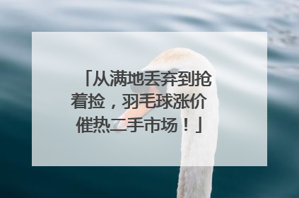 从满地丢弃到抢着捡，羽毛球涨价催热二手市场！