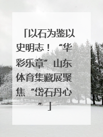 以石为鉴以史明志！“华彩乐章”山东体育集藏展聚焦“岱石丹心”