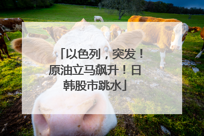 以色列，突发！原油立马飙升！日韩股市跳水
