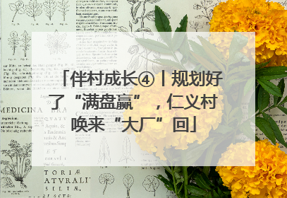 伴村成长④丨规划好了“满盘赢”，仁义村唤来“大厂”回