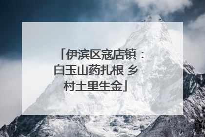 伊滨区寇店镇：白玉山药扎根 乡村土里生金