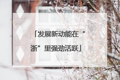 发展新动能在“浙”里强劲活跃