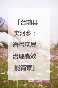 台前县夹河乡：谱写基层治理高效能篇章