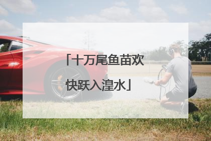 十万尾鱼苗欢快跃入湟水