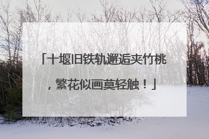 十堰旧铁轨邂逅夹竹桃，繁花似画莫轻触！