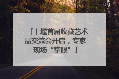 十堰首届收藏艺术品交流会开启，专家现场“掌眼”