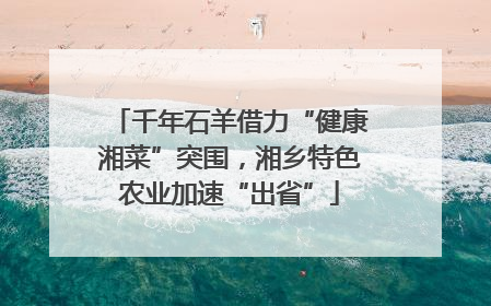 千年石羊借力“健康湘菜”突围，湘乡特色农业加速“出省”