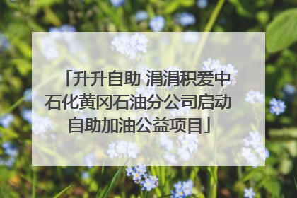 升升自助 涓涓积爱中石化黄冈石油分公司启动自助加油公益项目