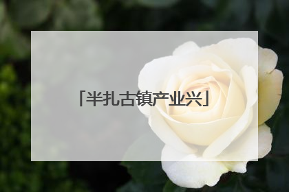 半扎古镇产业兴