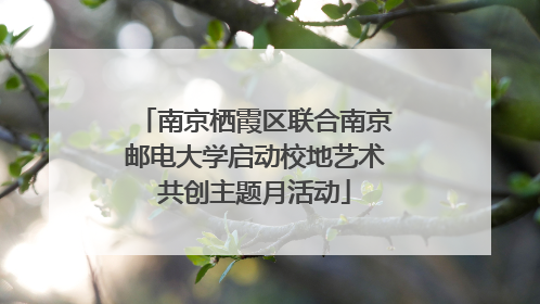 南京栖霞区联合南京邮电大学启动校地艺术共创主题月活动