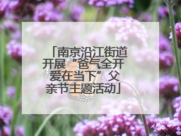 南京沿江街道开展“爸气全开 爱在当下”父亲节主题活动