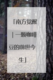 南方觉醒｜一颗咖啡豆的前世今生