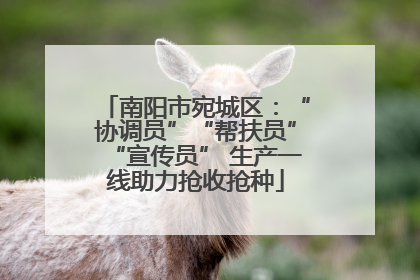 南阳市宛城区：“协调员”“帮扶员”“宣传员” 生产一线助力抢收抢种