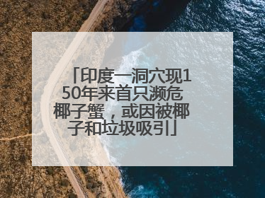 印度一洞穴现150年来首只濒危椰子蟹，或因被椰子和垃圾吸引
