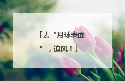 去“月球表面”，追风！