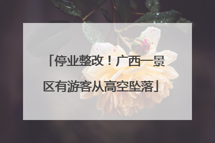 停业整改！广西一景区有游客从高空坠落