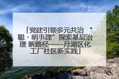 党建引领多元共治 “聪・明事理”探索基层治理 新路径——月湖区化工厂社区新实践