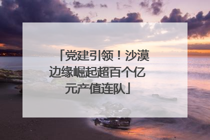 党建引领！沙漠边缘崛起超百个亿元产值连队
