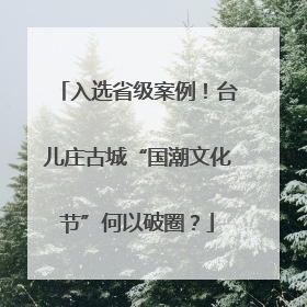 入选省级案例！台儿庄古城“国潮文化节”何以破圈？