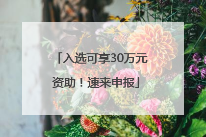入选可享30万元资助！速来申报