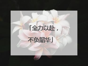 全力以赴，不负韶华