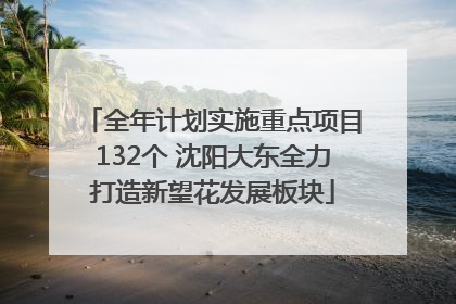 全年计划实施重点项目132个 沈阳大东全力打造新望花发展板块