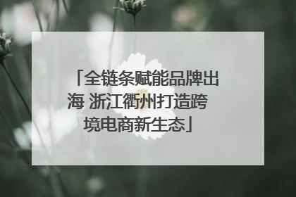 全链条赋能品牌出海 浙江衢州打造跨境电商新生态
