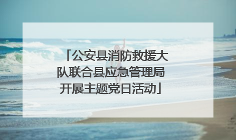 公安县消防救援大队联合县应急管理局开展主题党日活动