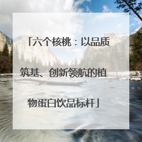 六个核桃：以品质筑基、创新领航的植物蛋白饮品标杆