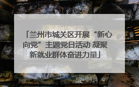 兰州市城关区开展“新心向党”主题党日活动 凝聚新就业群体奋进力量