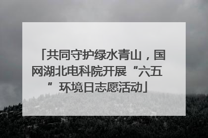 共同守护绿水青山，国网湖北电科院开展“六五”环境日志愿活动