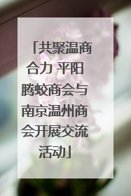 共聚温商合力 平阳腾蛟商会与南京温州商会开展交流活动