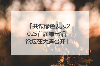 共谋绿色发展2025首届绿电铝论坛在大通召开
