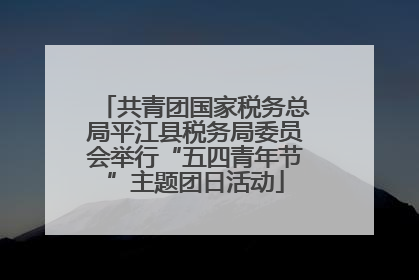 共青团国家税务总局平江县税务局委员会举行“五四青年节”主题团日活动