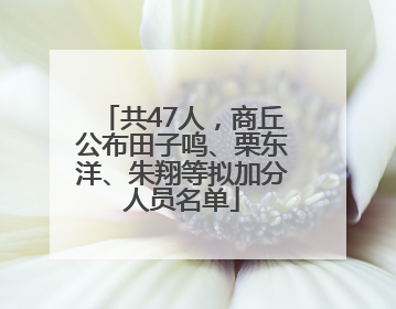 共47人，商丘公布田子鸣、栗东洋、朱翔等拟加分人员名单