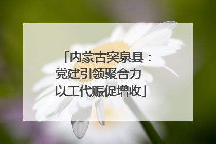 内蒙古突泉县：党建引领聚合力 以工代赈促增收