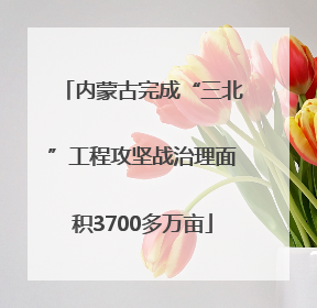 内蒙古完成“三北”工程攻坚战治理面积3700多万亩