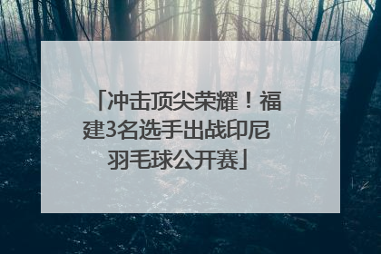 冲击顶尖荣耀！福建3名选手出战印尼羽毛球公开赛